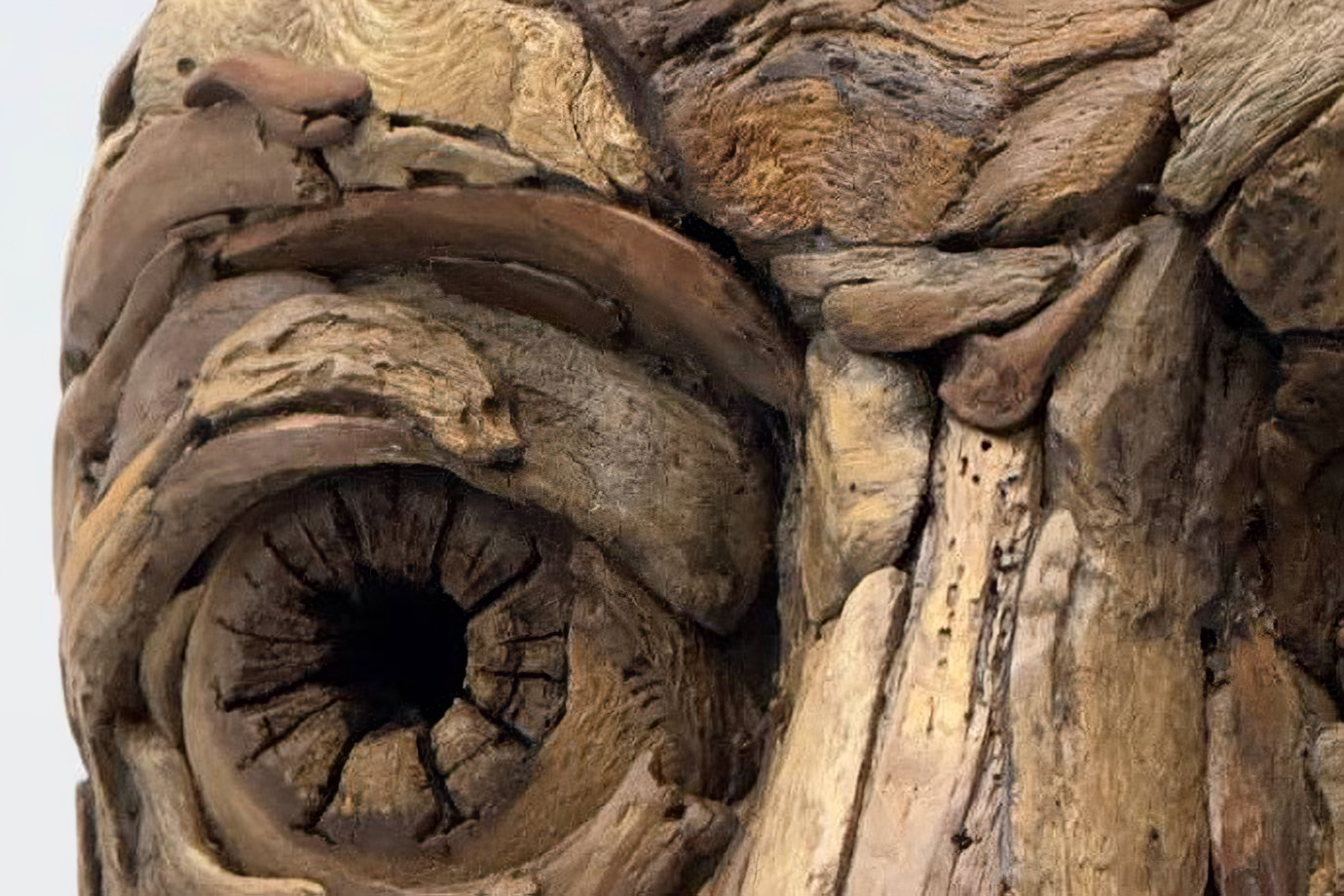 Eye assembled from driftwood shards